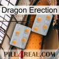 Dragon Erection 25